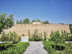 -野鸭湖国家湿地公园