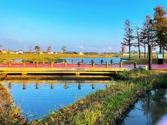 -春花秋色城市公园