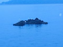 -碧桂园十里银滩