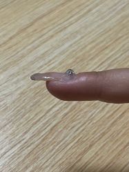 -Touch Nail·品质·美甲美睫