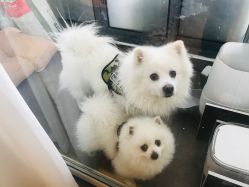 -MZ SKIN CARE逆齢驻颜中心
