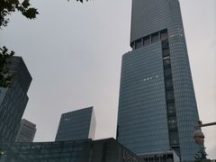 -紫峰大厦