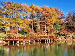 -四明山国家森林公园