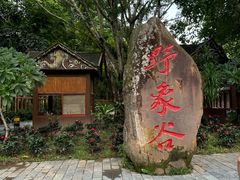 -野象谷景区