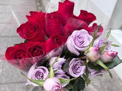 -循礼门鲜花花市(武汉循礼门店)