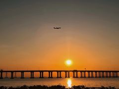 -宝安西湾红树林湿地公园