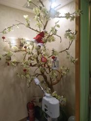-芳朵美容养生SPA