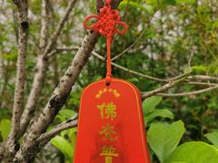 -龙华寺