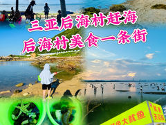 -后海村