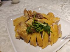 -黄B湛江鸡饭店(粤垦路店)