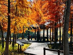 -梁鸿国家湿地公园