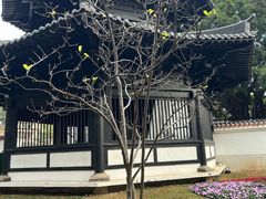 -荔湾湖公园