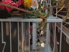 -湊湊火锅·茶憩(皇姑万象汇店)