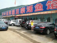-庆岭迎宾园正宗活鱼馆