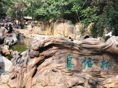 -燕塞湖鸟语林景区