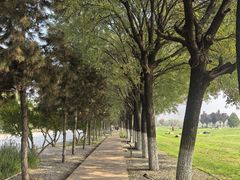 -汉长安城未央宫国家考古遗址公园