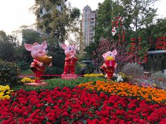 -晓港公园