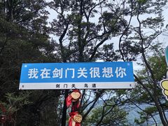 -剑门关风景区