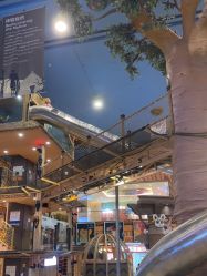 -卡通尼·Safari非洲探索乐园·生日会(金桥国际商业广场店)