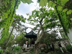 -留园