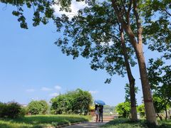 -黄河小浪底水利枢纽风景区