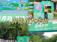 -衢州大荫山丛林飞越探险乐园