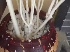 富士河口湖食堂 图片 富士山 大众点评网