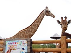 -鄂尔多斯野生动物园