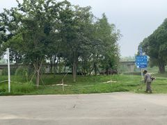 -白鹭湾湿地公园