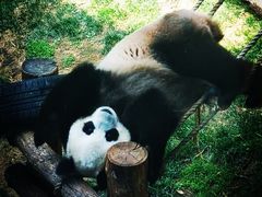 -大连森林动物园