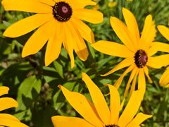 -北京周口店北京人遗址博物馆