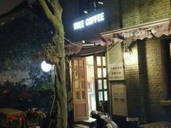 -两棵枇杷树
