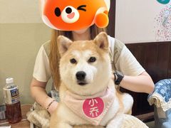 -逗柴咖啡屋·狗咖猫咖宠物桌游