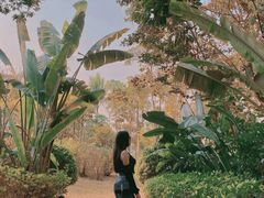 -西双版纳融创皇冠假日度假酒店