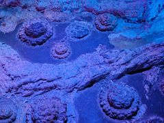 -房山世界地质公园博物馆