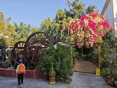 -品德宏·孔雀宴的发源地(金塔园店)