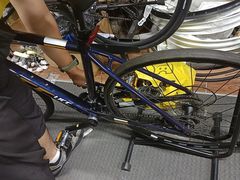 -道路口单车爱瓦士dahon大行