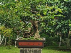 -黄鹤楼