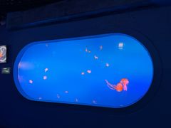 -太平洋海底世界