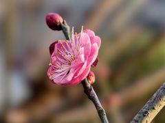 -山东大学(趵突泉校区)