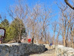 -阳台山自然风景区