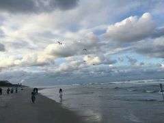 -黄金海岸