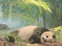 -杭州动物园