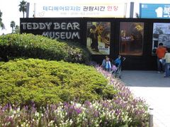 -济州岛泰迪熊博物馆