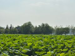 -云龙湖旅游景区