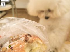 小公爵核桃包-匠杺(南昌大厦店)