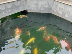 -西安市广仁寺