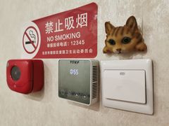 -宠爱国际动物医院·疑难骨科·心肾内科·皮肤科(太阳宫店)