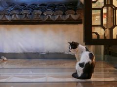 -猫的天空之城概念书店(杭州南宋御街店)