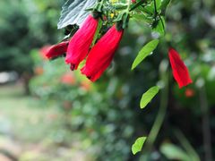 -福建鲤鱼洲酒店